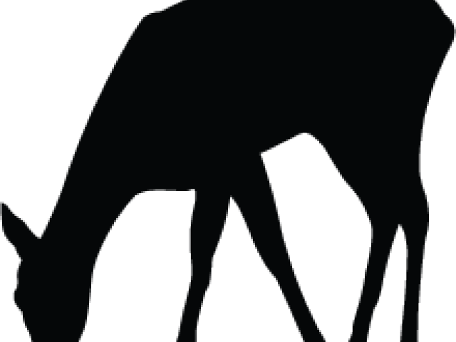 Silhouette (640x480), Png Download