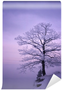 Beautiful Trees Covered In Snow (400x400), Png Download
