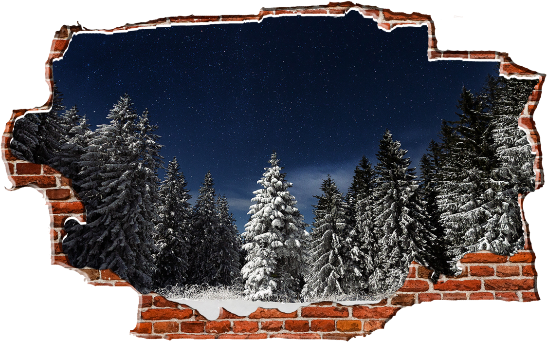Zapwalls Decals Evergreen Snowy Trees Dark Night Breaking - Irgendwo Auf Der Welt: Eine Liebesgeschichte In Vier (1280x750), Png Download