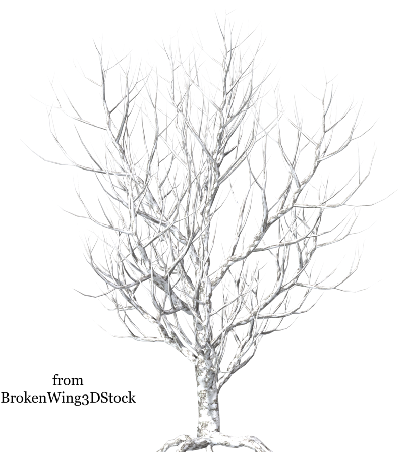Go To Image - Winter (900x900), Png Download