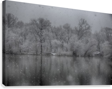 Snowy Trees Canvas Print - Reflection (429x344), Png Download