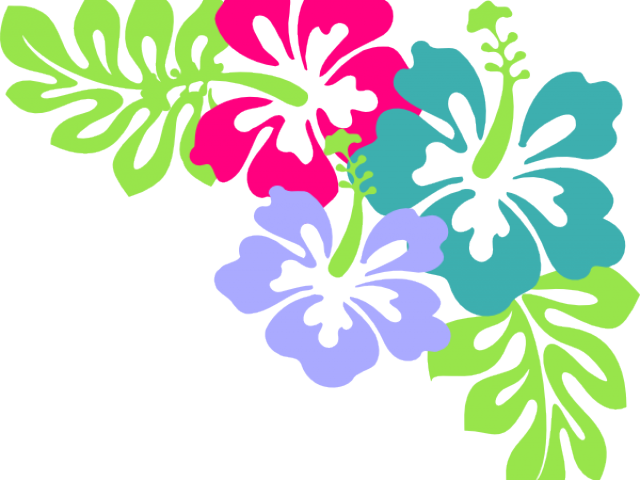 Hawaii Clipart Corner - Hibiscus Clip Art (640x480), Png Download