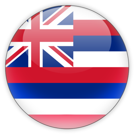Hawaii Flag Png - Hawaii State Flag (640x480), Png Download