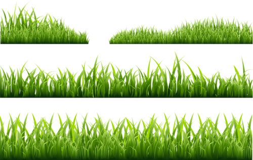 Read It - Grass Illustration Png Free (500x316), Png Download