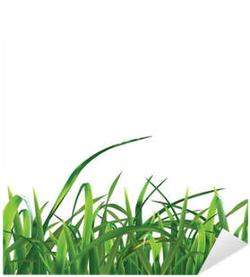 Sweet Grass (400x400), Png Download
