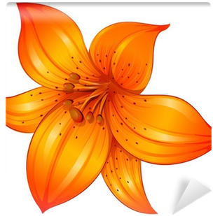 Orange Flower White Background (400x400), Png Download