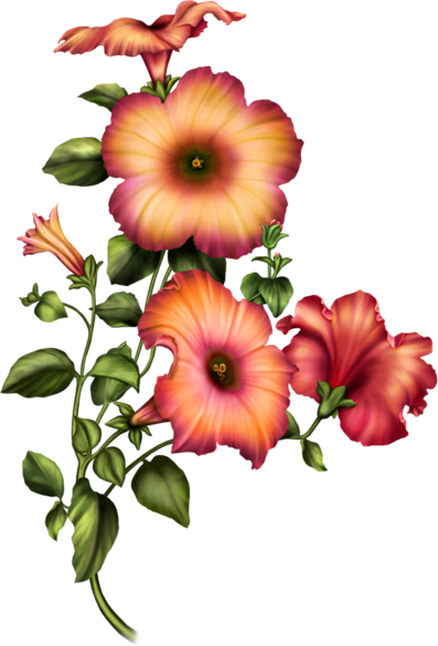 Pin By Dorota Kusal On Grafika Kwiaty - Flower (397x585), Png Download