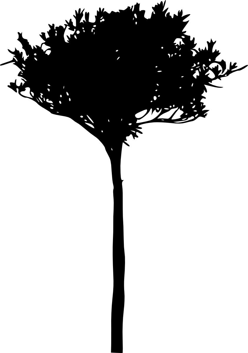 Free Download - Silhouette (843x1200), Png Download