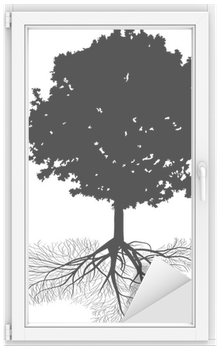 Black Oak Tree With Large Root Isolated On White Window - Rocha (400x400), Png Download