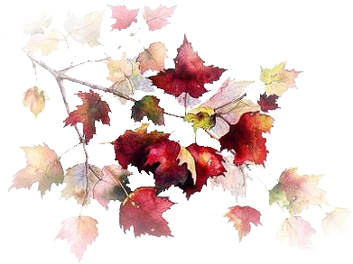 Tubes Psp - Google Zoeken - Autumn (450x344), Png Download