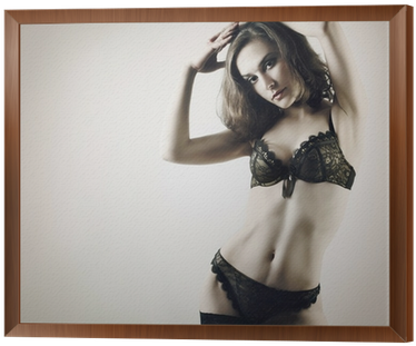 Sexy Woman In Lingerie Fashion Model Framed Canvas - Alien Biology Als Ebook Von Mina Shay (400x400), Png Download