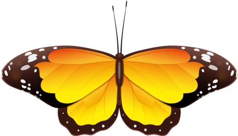Real Butterfly Cliparts - Butterfly Clipart Black And White Png (500x294), Png Download