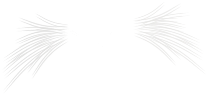 Angela Kwak - Monochrome (1600x2160), Png Download