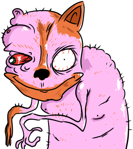 Cool Cat - Cat (1024x576), Png Download