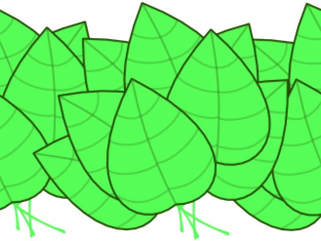 Leaves Clip Art (640x480), Png Download