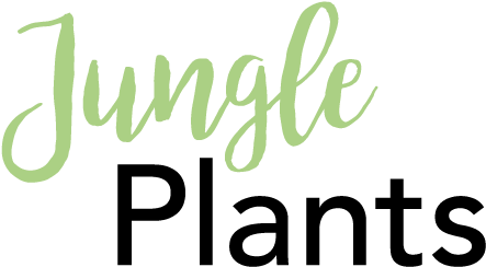 “a Mini Jungle On Your Doorstep” - Secrets Of Good-carb/low-carb Living (672x263), Png Download