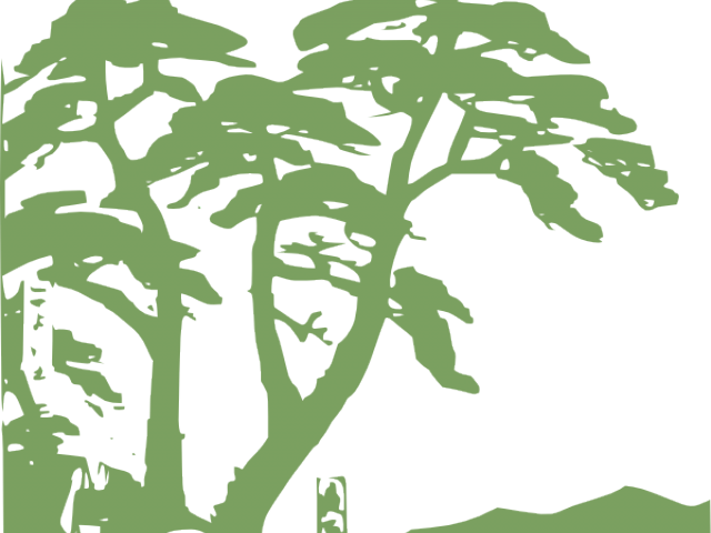 Rainforest Clipart Palm Tree - Rainforest Svg (640x480), Png Download
