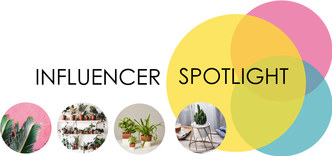 Indoor Plants Are Currently A Growing Trend And We - St Patricks's Day (1262x595), Png Download
