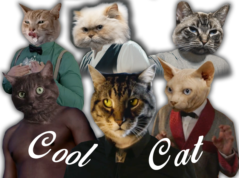 Cool Cat Crew - Cat (800x595), Png Download