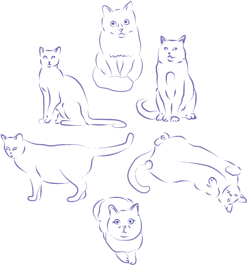 Minimal Cat Practice Sketches From Before I Knew This - Sketch (612x609), Png Download