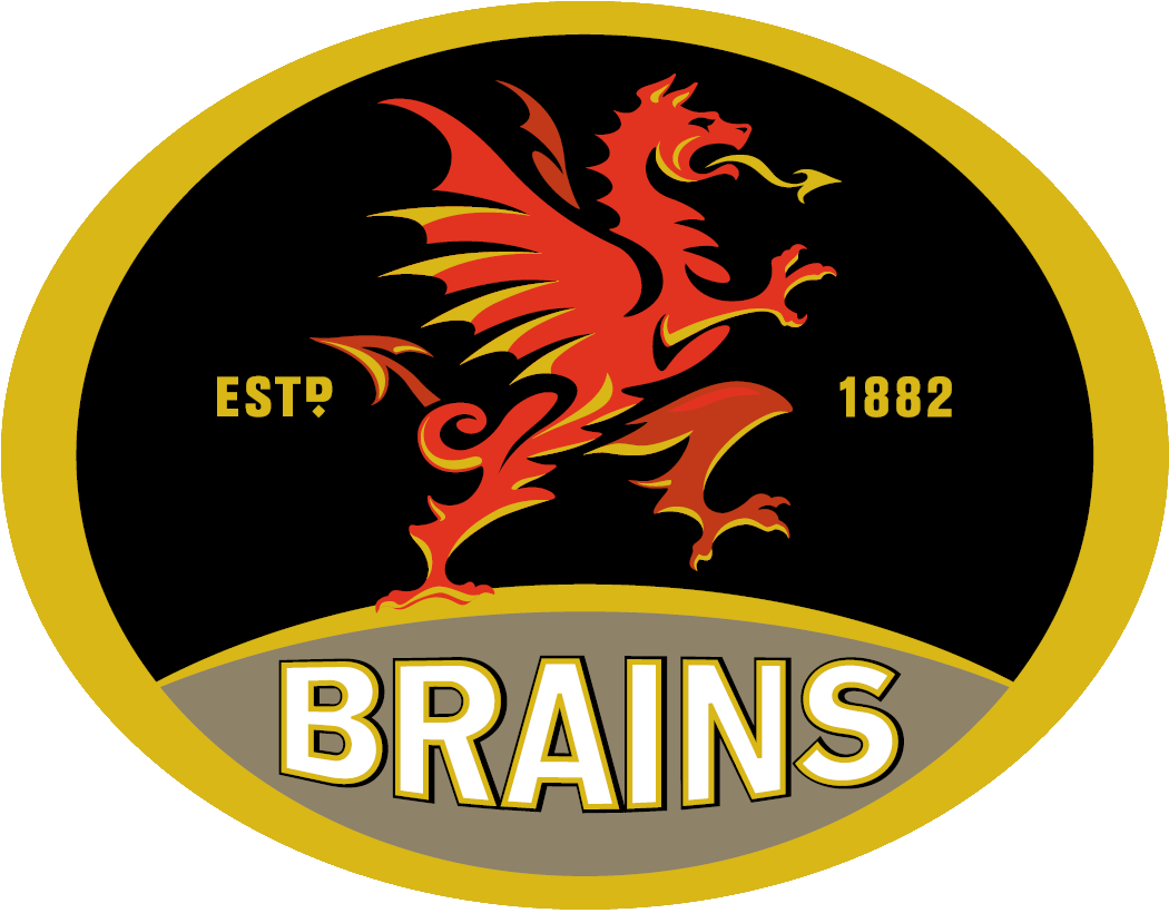 About Brains - Sa Brain (1050x820), Png Download