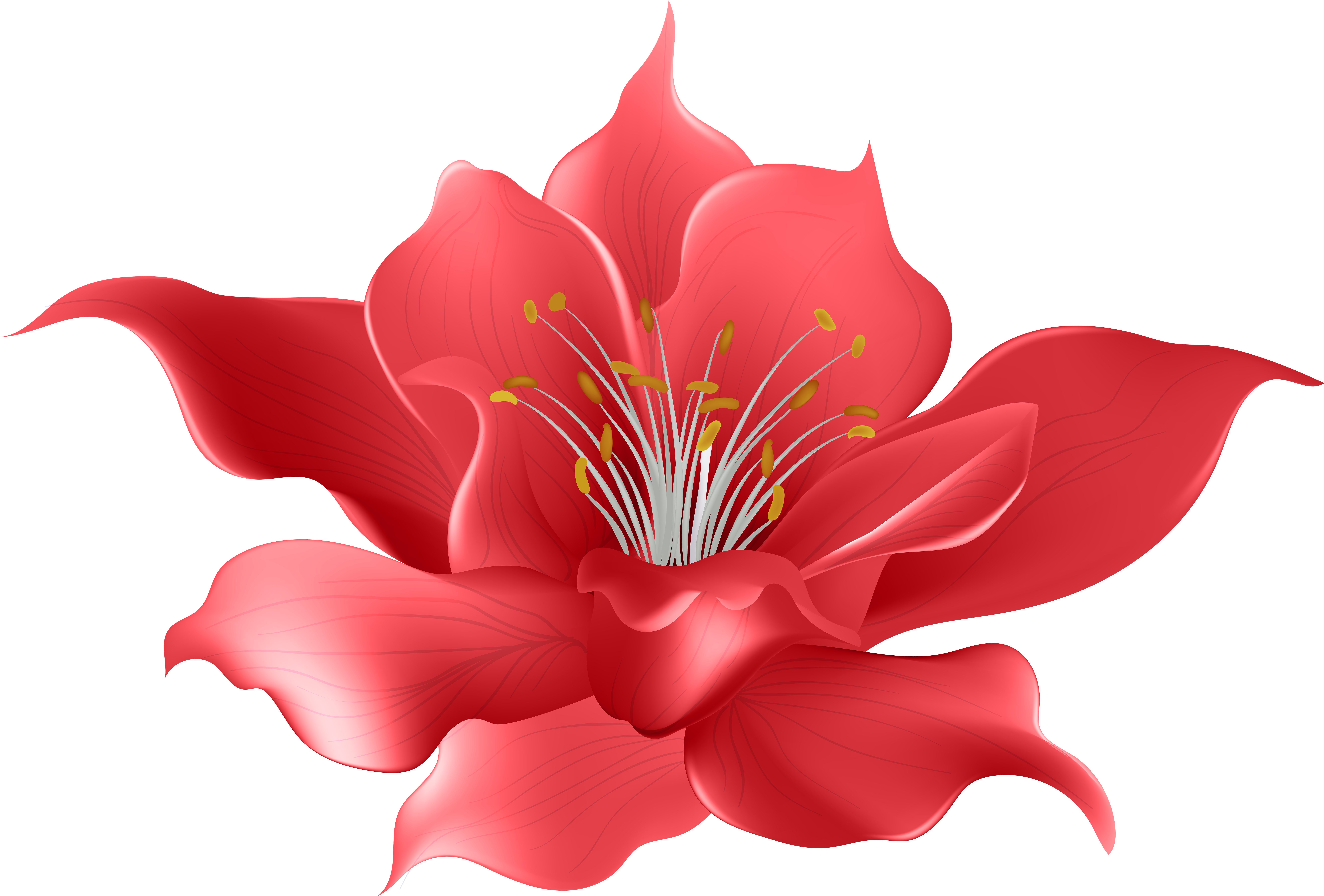 Art Watercolour Flowers Clip Garland India - Magnolia Flower (8000x5472), Png Download