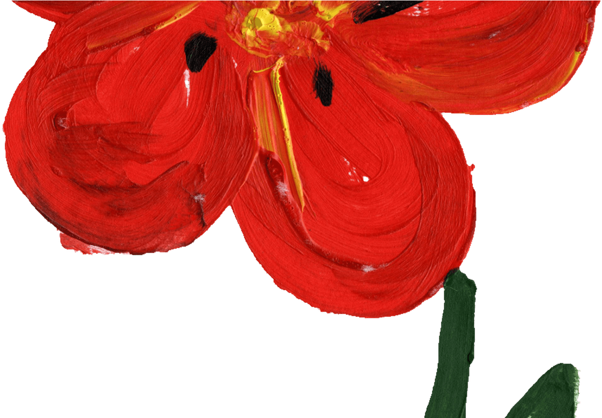 Beautiful Flowers 2019 Red Flower Painting Beautiful - Flower Painting Transparent (1368x855), Png Download