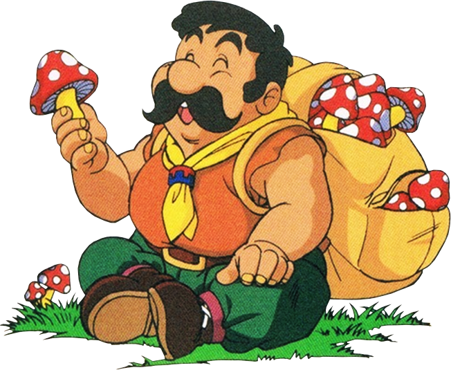 Legend Of Zelda Link's Awakening Tarin (652x535), Png Download
