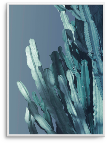 Cactus In Blue No 1 Cactus In Blue No - Blue (476x600), Png Download