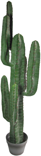 Yuha Cactus Large - Abigail Ahernedition Artificial Large Yuha Cactus, (600x600), Png Download