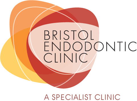 List Bullet Point - Graphic Design (482x357), Png Download