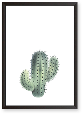 Cactus - Prickly Pear (480x480), Png Download