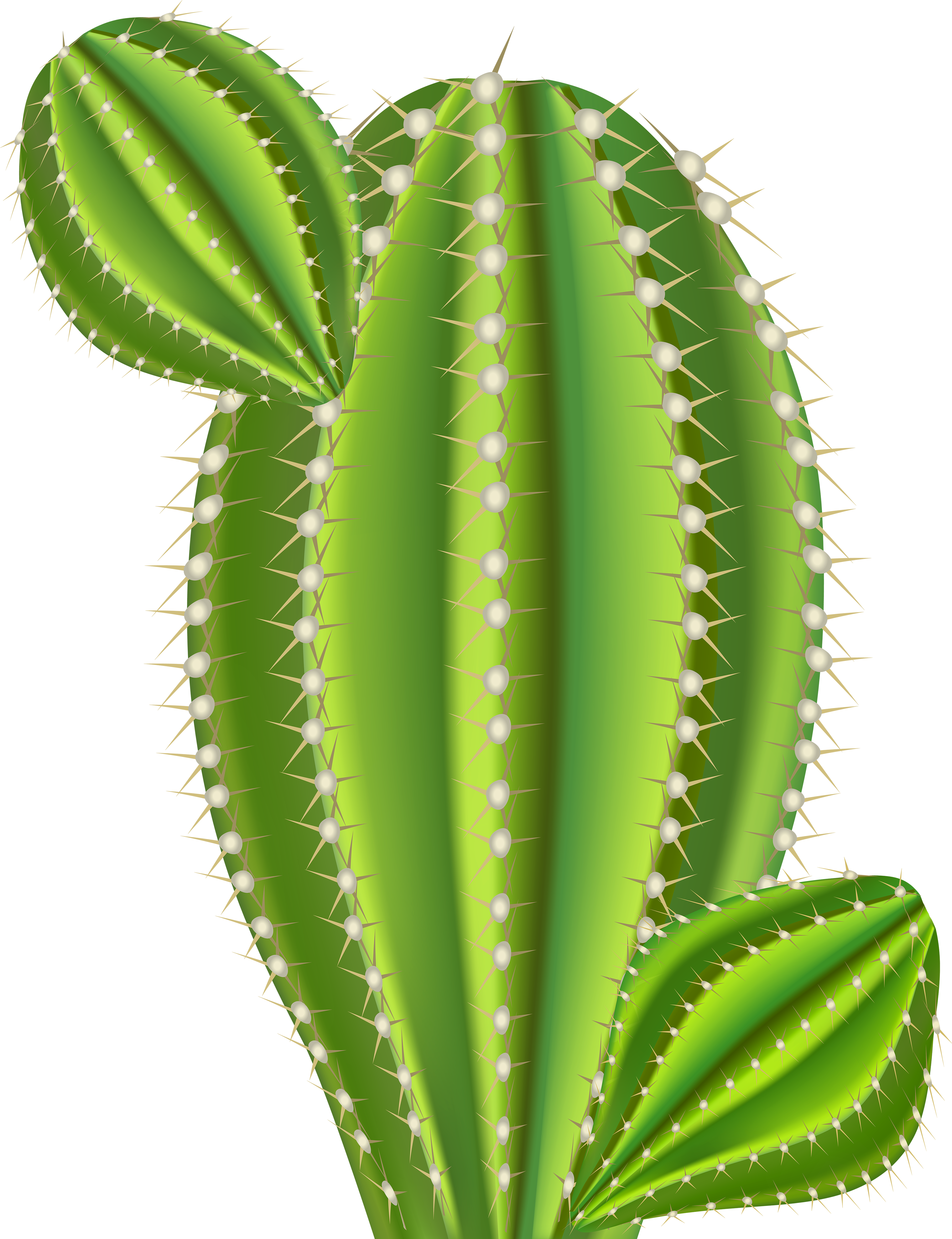Clip Art (3844x5000), Png Download