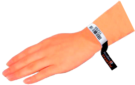 Aquí Nos Vamos A Centrar En El Sistema De Control Mediante - Pulsera Y Mano Png (466x322), Png Download