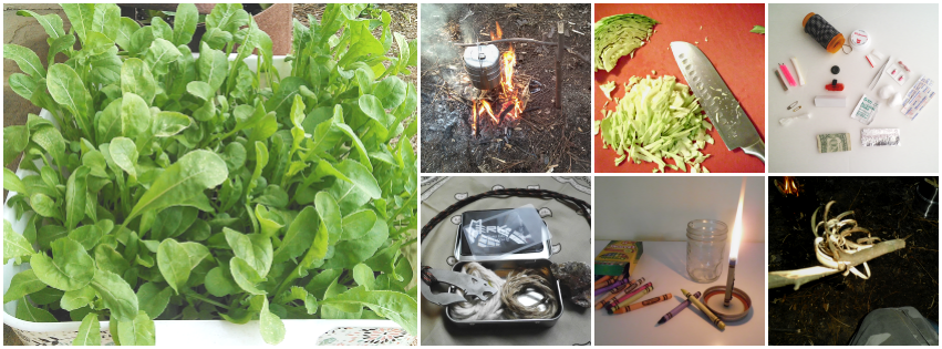 Water Spinach (851x315), Png Download