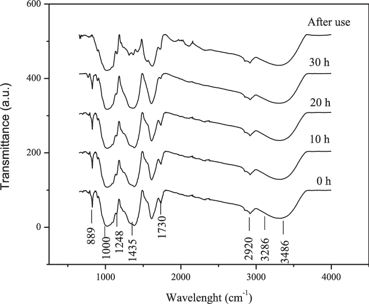 Ft-ir Spectra Of Banana Peels At Different Milling - Banana Peel (723x595), Png Download