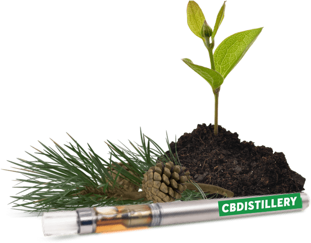 200 Mg Cbd Disposable Vape Pen (800x800), Png Download