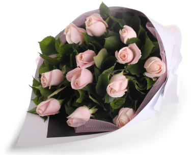 Soft Pink Rose Bouquet - Transparent Rose Bouquet Png (480x319), Png Download