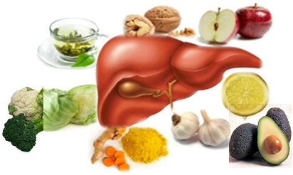 With Proper Support, The Liver Has The Capability To - Healthy Liver (520x245), Png Download