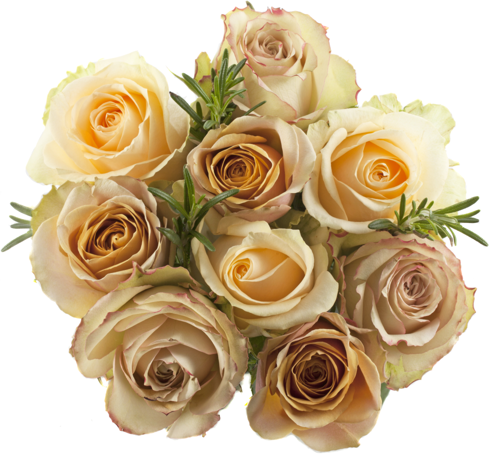 Bouquet Deluxe Gold - Garden Roses (1024x1024), Png Download
