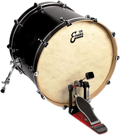 Bass Drum - Evans Calftone Eq4 (480x480), Png Download