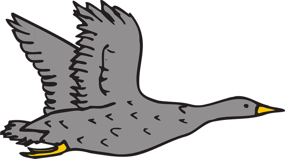 Goose Clipart Grey Goose - Cafepress Grey Goose Sticker Square Bumper Car Decal (960x537), Png Download