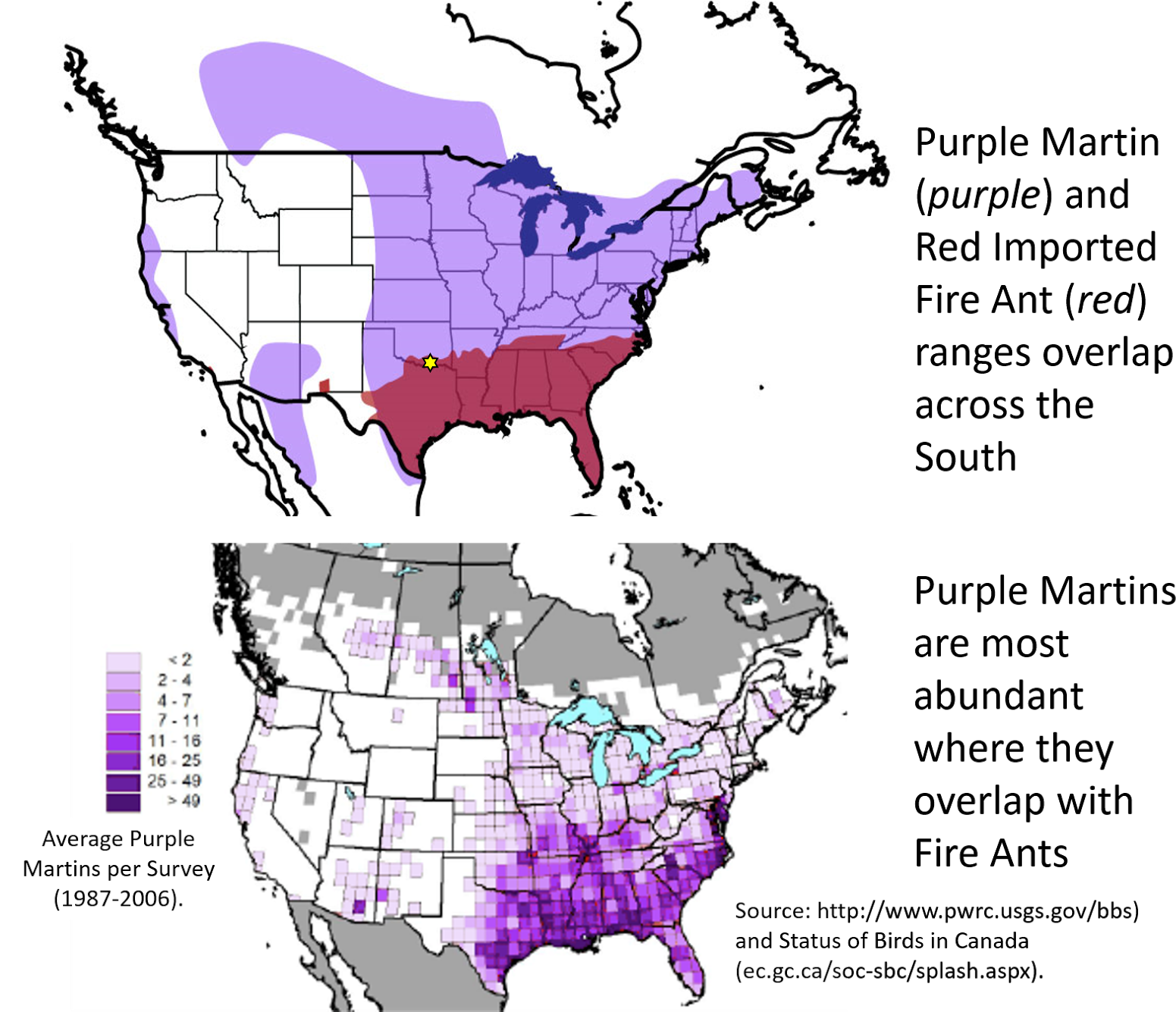 Red Imported Fire Ants Are Not Native To The Us (1600x1334), Png Download