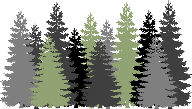 Free Image On Pixabay - Forest Clipart (640x365), Png Download