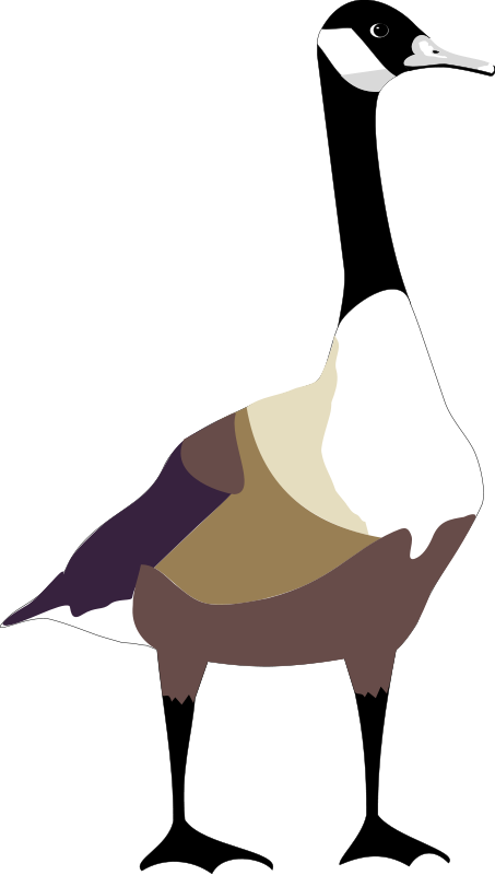 Bird Free Vector - Goose Clipart (453x800), Png Download