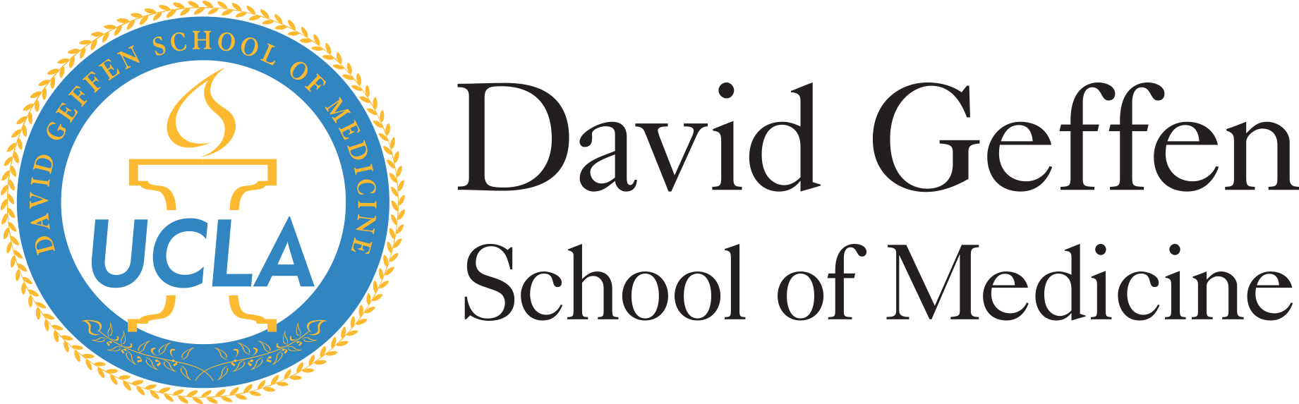 David Geffen School Of Medicine At Ucla - Hyperwear Sandbell Sandbag Training Free Weight (pre-filled) (1875x600), Png Download