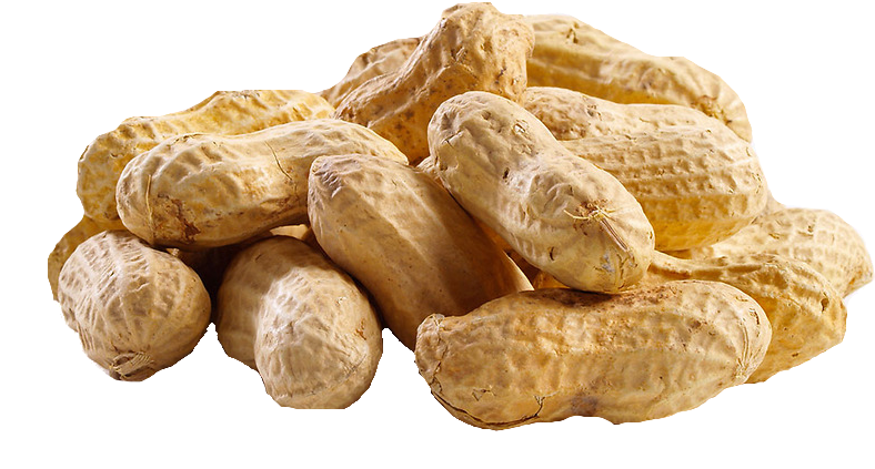 Peanut Png Hd - Groundnut Oil Png (801x442), Png Download