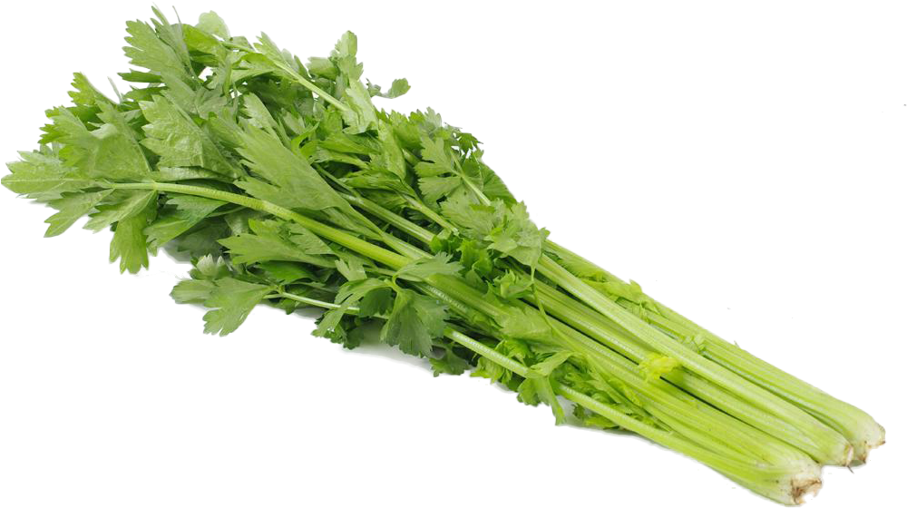 Celery Transparent Green - 有機 芹菜 (1000x1000), Png Download
