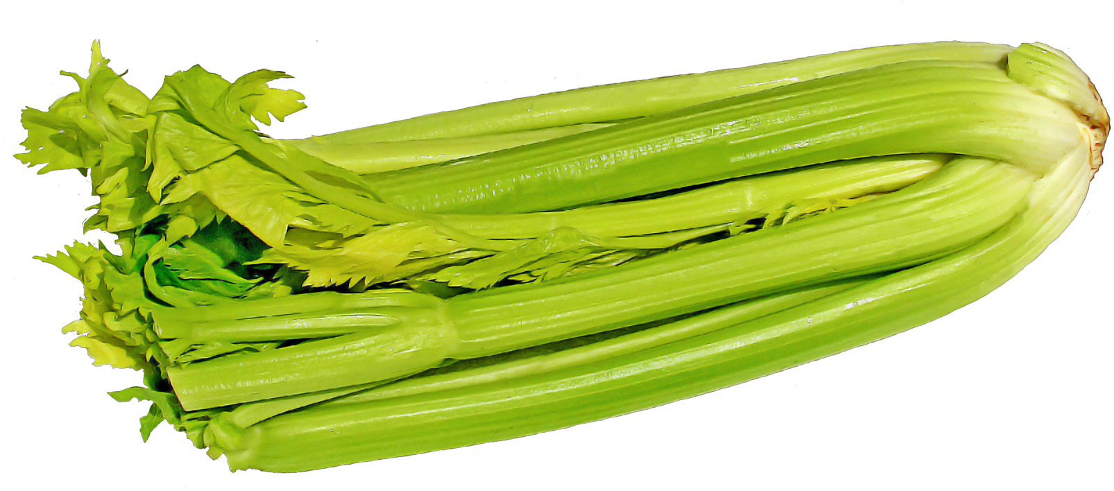 Green Celery Png Image - Png Celery (1679x891), Png Download