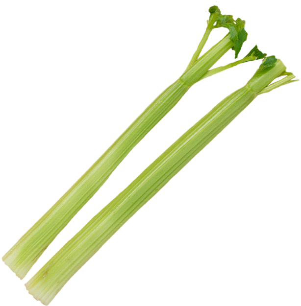 Celery Stick Png (640x640), Png Download